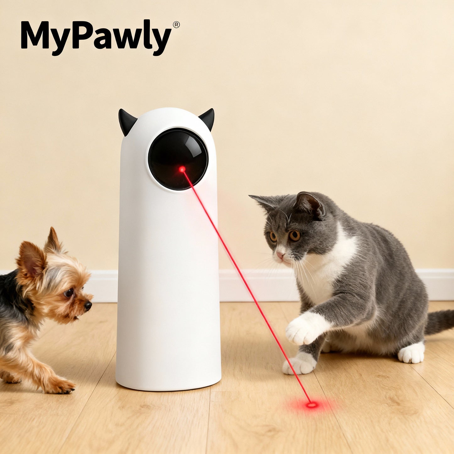 Robot Laser Automatique